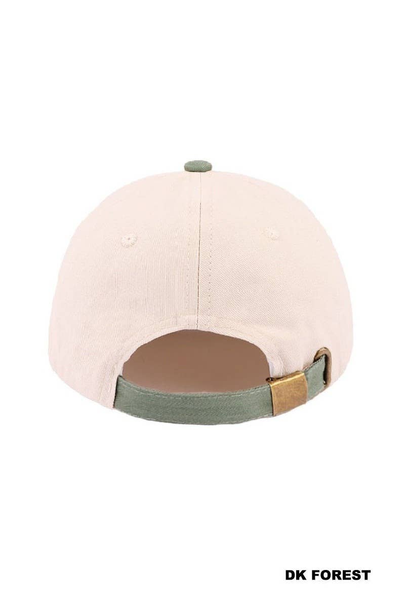 Jesus Paid It All Two Tone Cotton Hat
